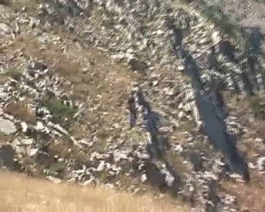 2010 GİRESUN ÇAMOLUK  KUTLUCA'DA RAMAZAN BAYRAMI 37. BÖLÜM