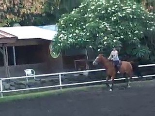 17.11.10 - cours obstacle - MorganeKa2