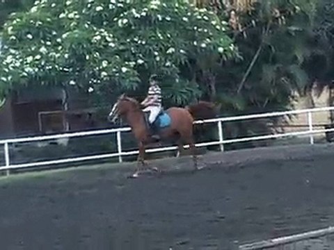 17.11.10 - cours obstacle - LéaHoppy2