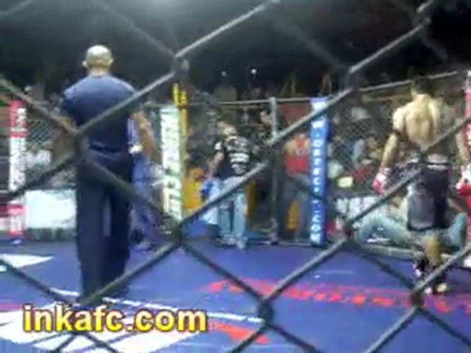 akita vs iwasaqui