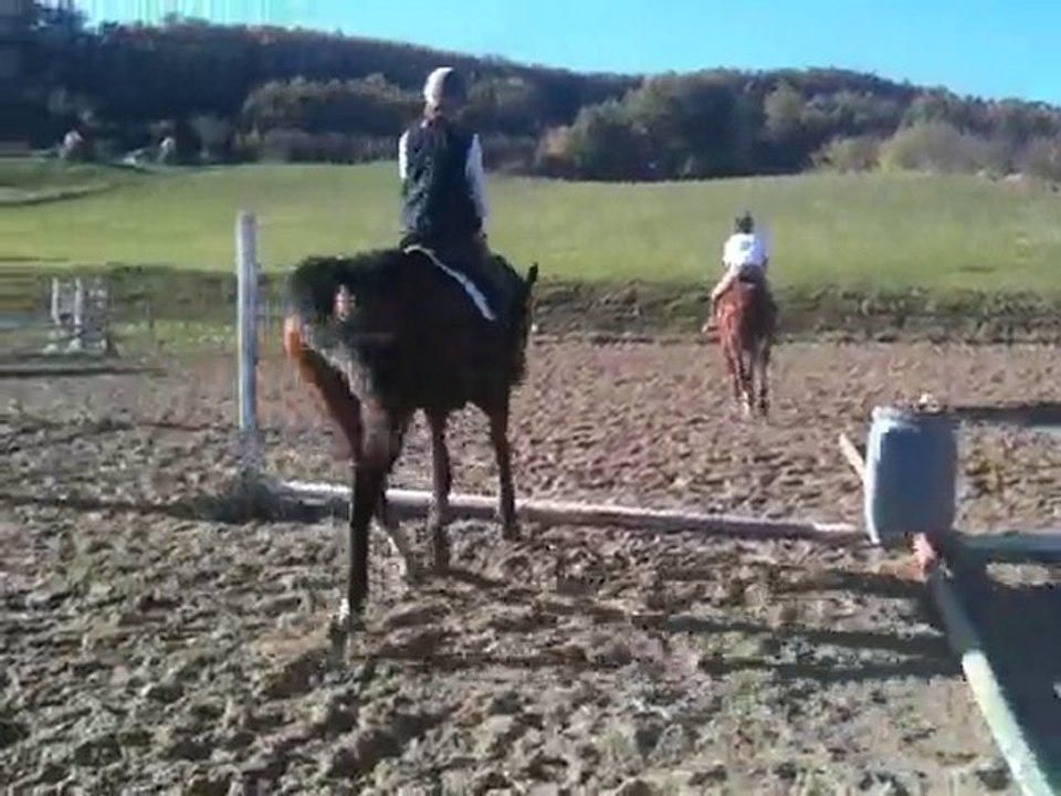 Au trot sur l'exo novembre 2010 013