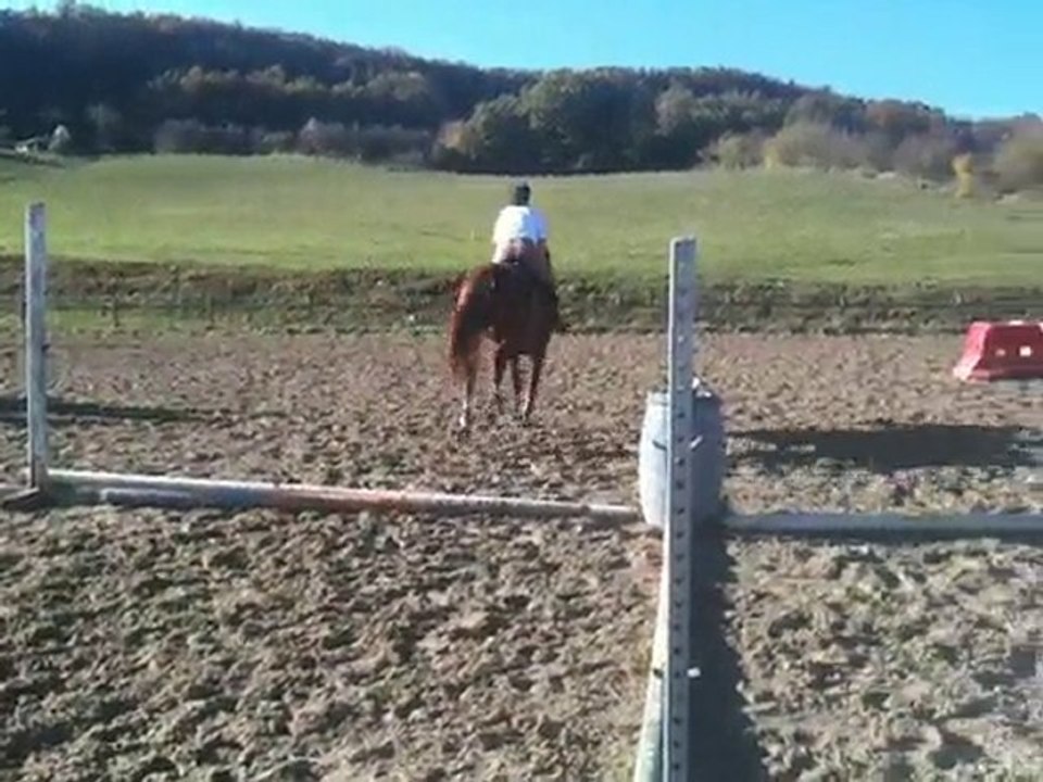 Nat et moi novembre 2010 018