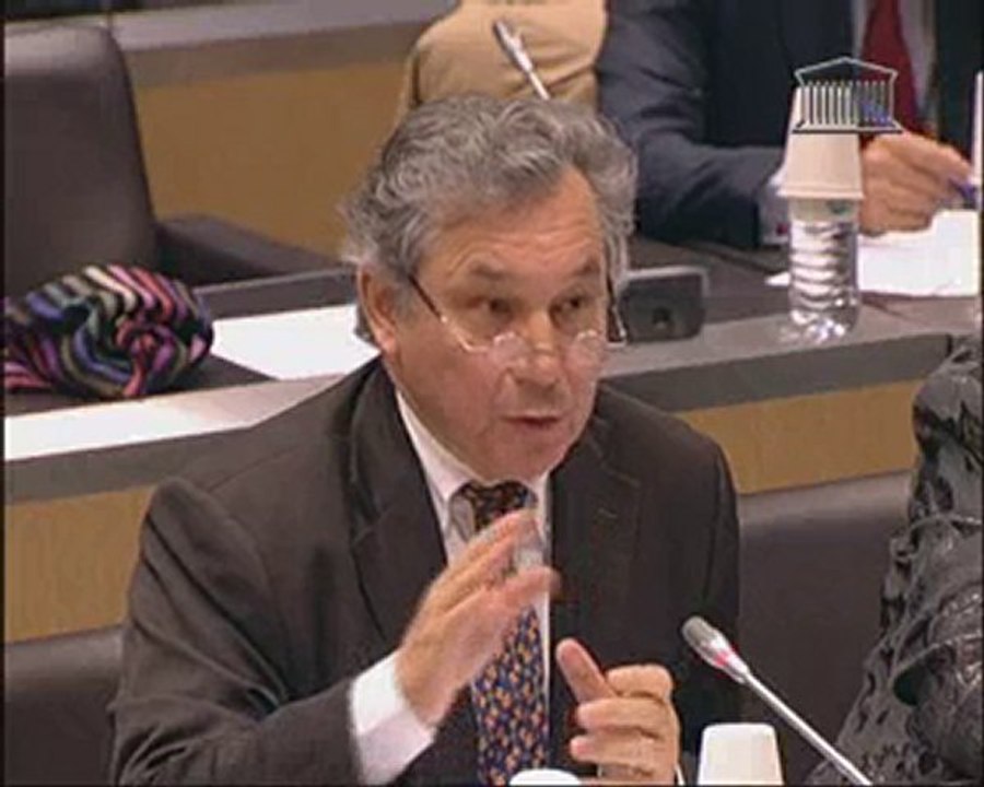 101117audition j-l hees commission affaires culturelles