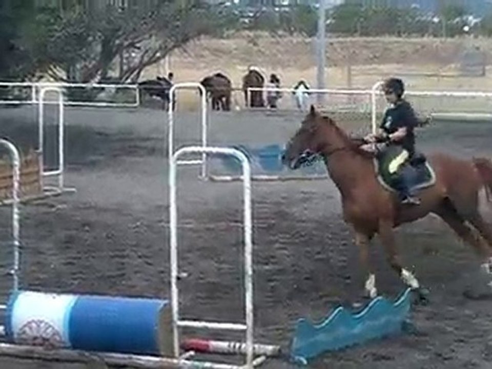 17.11.10 - cours obstacle - AngélineHérold2