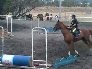17.11.10 - cours obstacle - AngélineHérold2