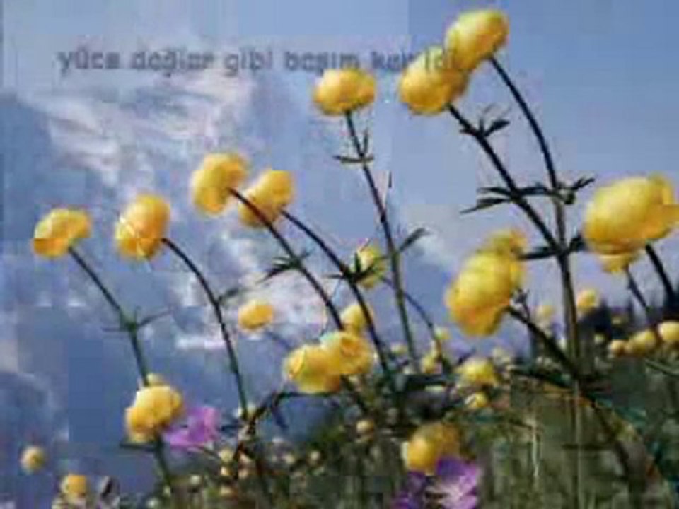 Eylem Aktaş-Kömür Gözlerin