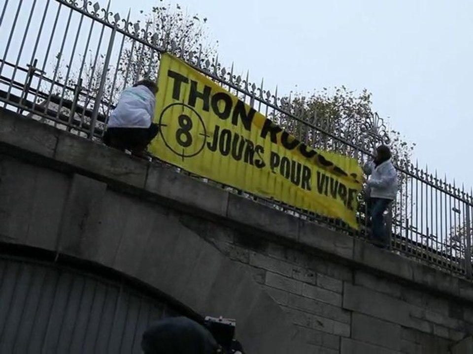 Action de Greenpeace devant l'ICCAT
