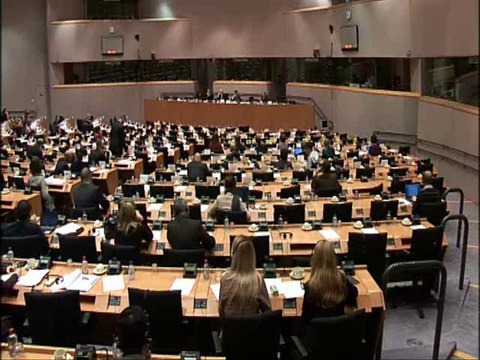 Dominique Baudis présente rapport UE/CCG (181110)