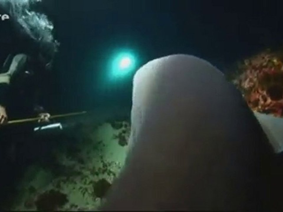 Dans les profondeurs du détroit de Messine