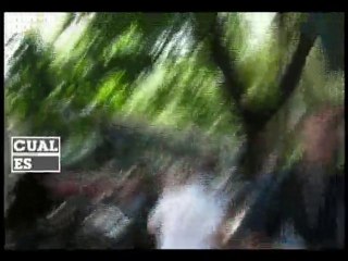 Cual Es - Volaron las entradas!