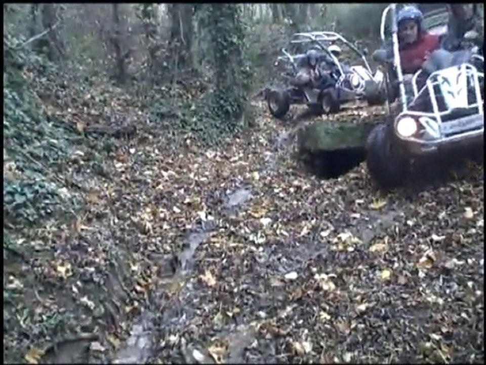 buggy plauzat