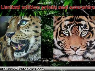 Wild Life Artwork Portraits by Kat Davies