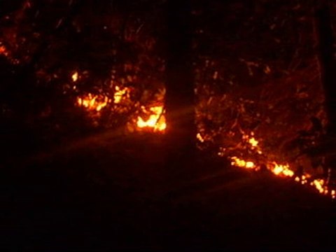 Köyümüzdeki orman yangınından görüntüler..