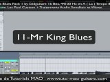 SAMPLES GUITARE  BLUES PACK 1 by DIDGUITARE