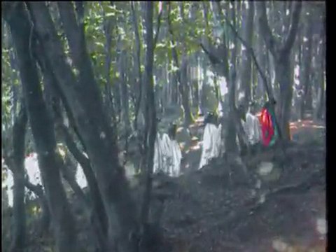 Dillere Destan (Yıldız Tilbe)