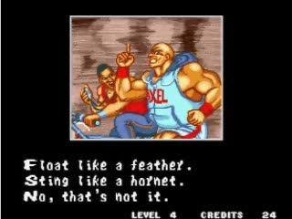 Fatal fury spécial: Axel hawk