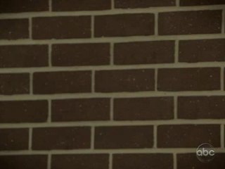 doE Two and a Half Men Seas 8 X 8 {2/5} posle