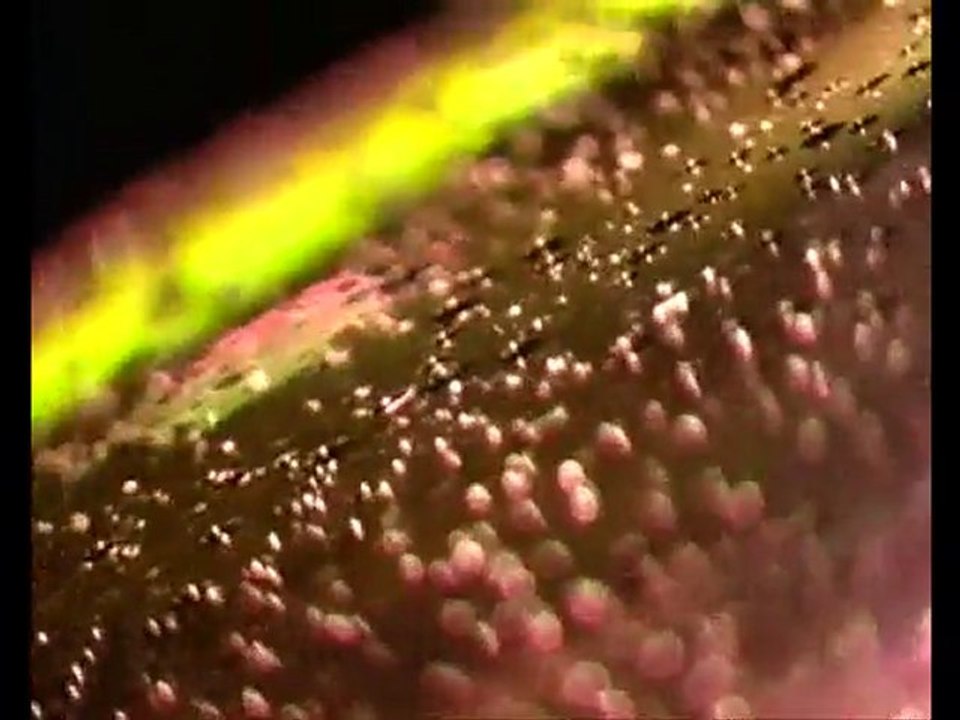 Haik Solar & Arni Rock - Dancing in the Rain (ft Dzovinar)