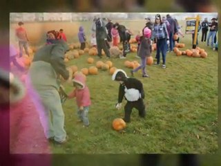 The Great Pumpkin Give-Away! Evanston, Calgary AB.