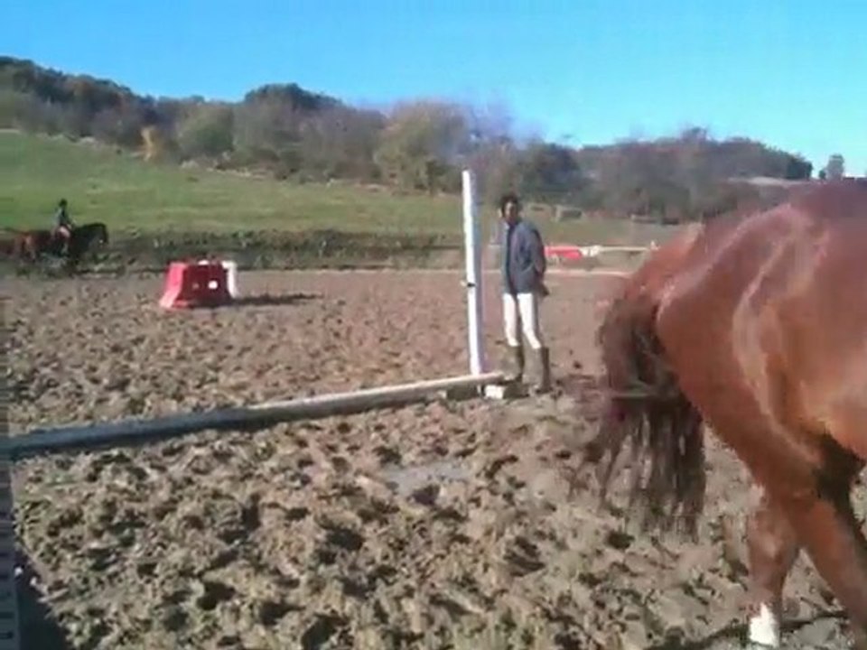 Nat et moi novembre 2010 065