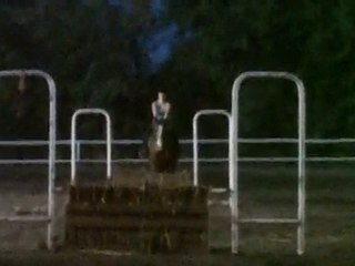 17.11.10 - cours obstacle 7