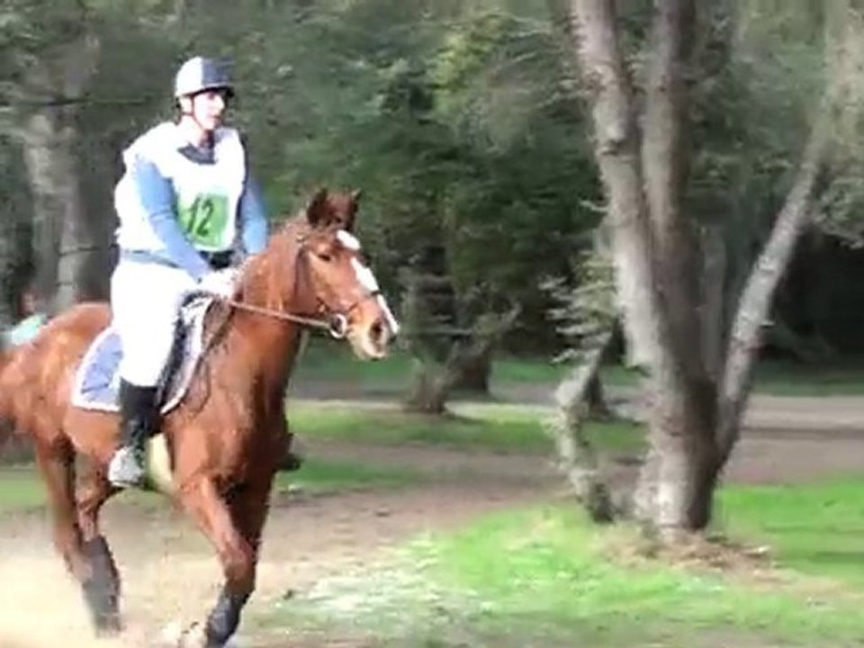 cce cornillon 2010  *cross*