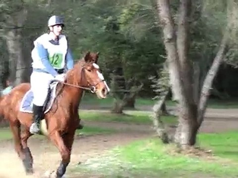 cce cornillon 2010 *cross*