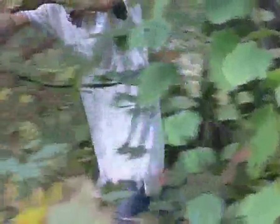 saubrigues production (bande annonce de proprietee privee