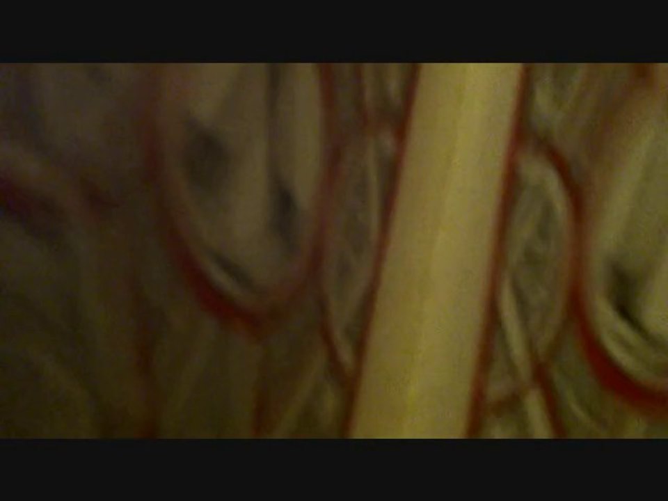 déballage de la version codex d'assassin's creed brotherhood