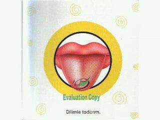 BEŞ DUYU