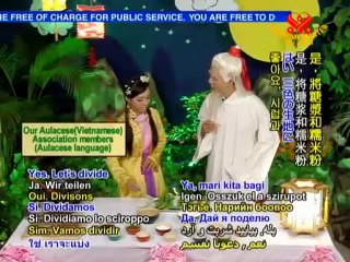 Aulacese (Vietnamese) Sweet Rice Mooncakes-How To Make