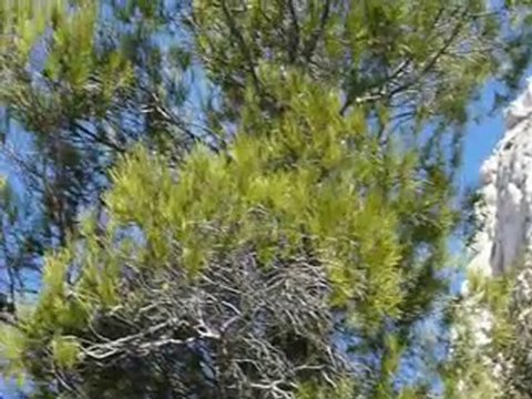 FORMIDABLE, OEUIL DE VERRE DANS LES CALANQUES DE CASSIS