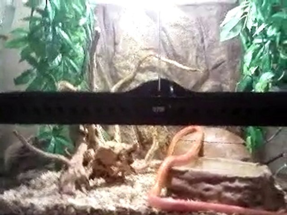 MOV040