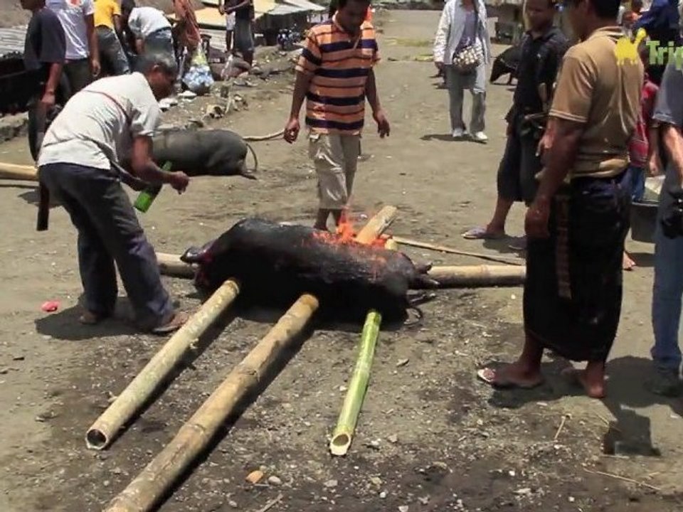 Cérémonie dans un village traditionnel à Florès