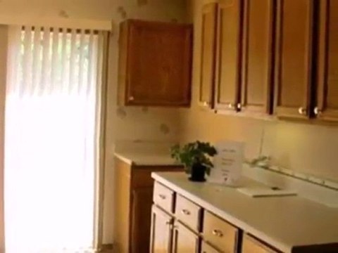 Homes for Sale - 219 Lexington Dr - Bolingbrook, IL 60440 -