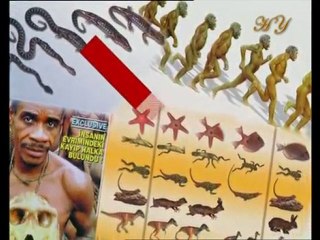 Les faits révélés par les fossiles