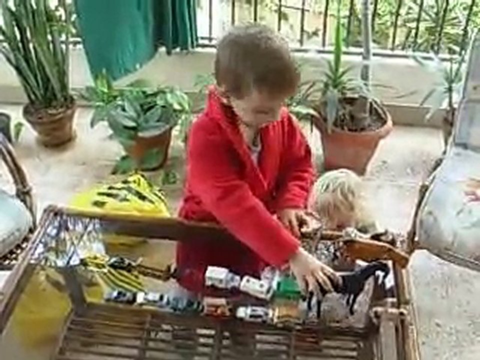 Balcon. Petites voitures et animaux