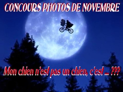 concours photos novembre 2010