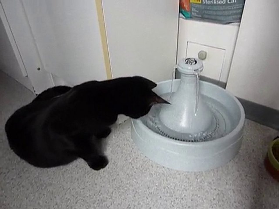 La fontaine selon Charly