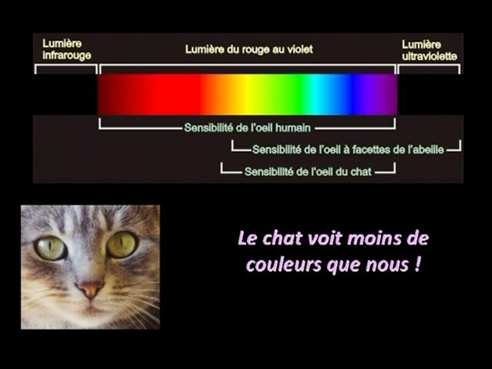 Lumière dans l'obscurité - Présentation clair-obscur (1/5)