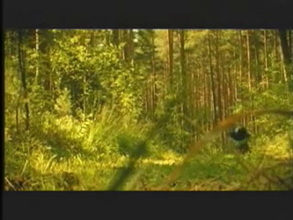 Blackmore's Night - Once In A Million Years