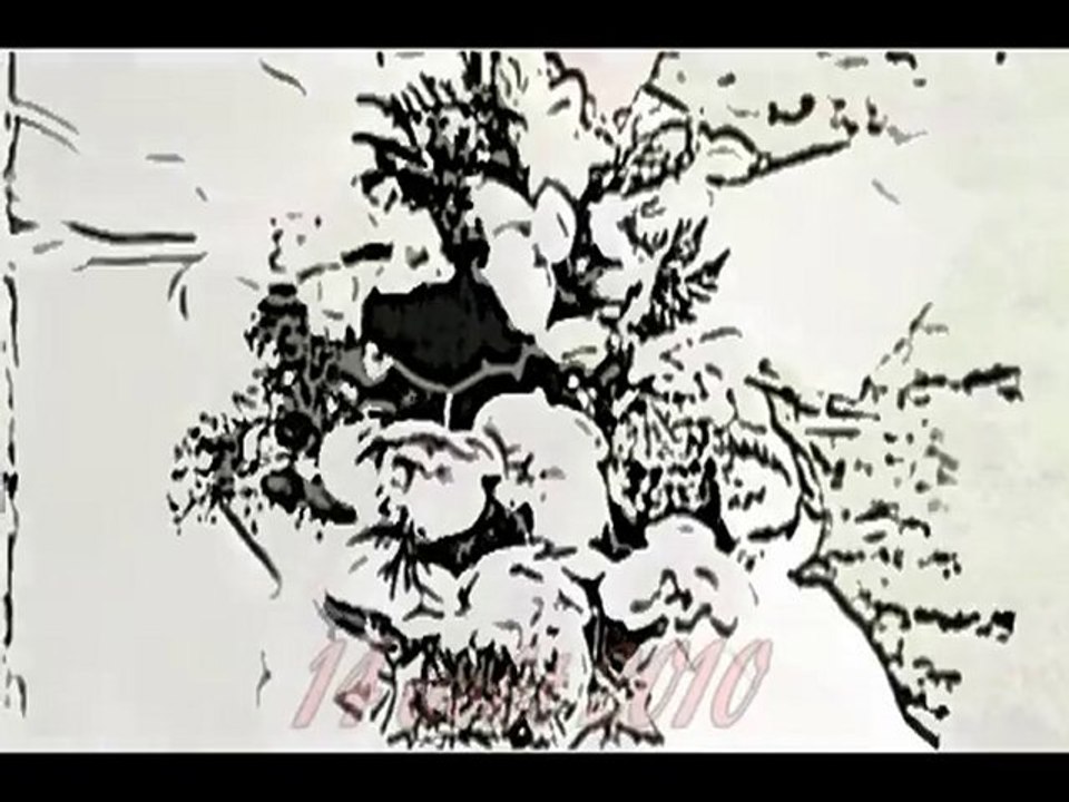 Mariage de Clémence et Olivier - 14-08-2010