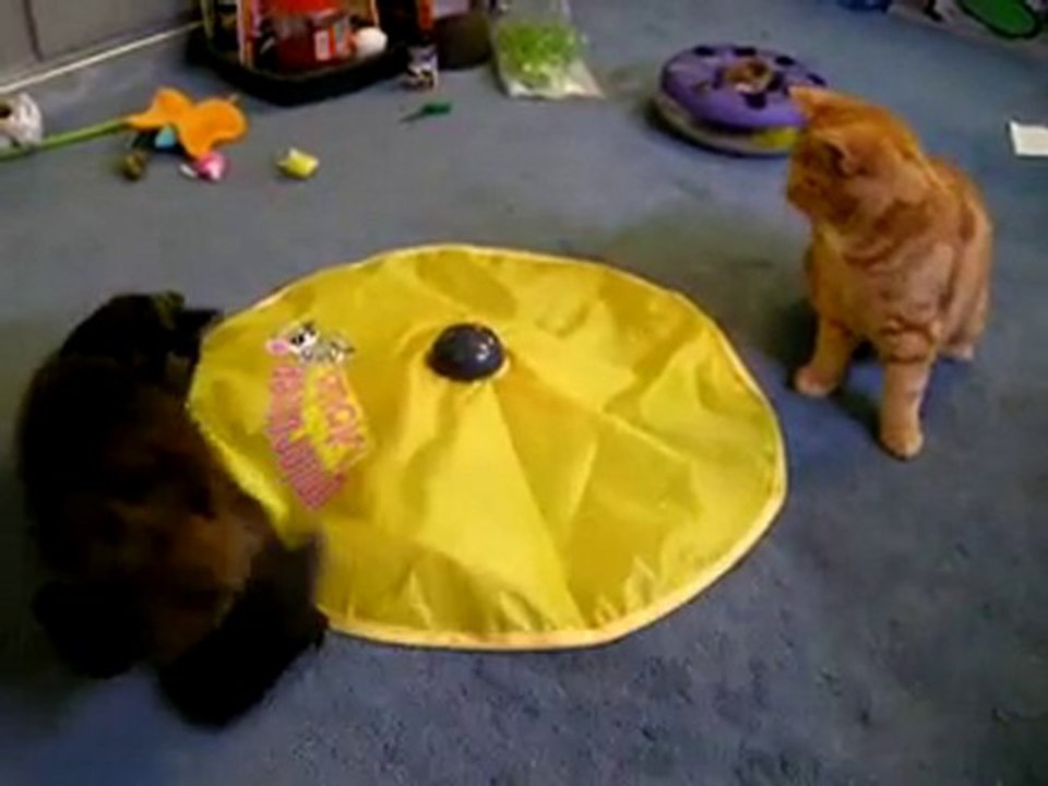 Undercover Mousse - Jouet chat