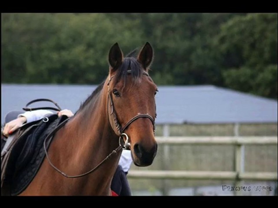 Octobre et Novembre 2010