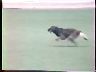 APACHES decoy homme d'attaque