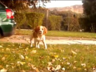 Fighter Movie ❤️