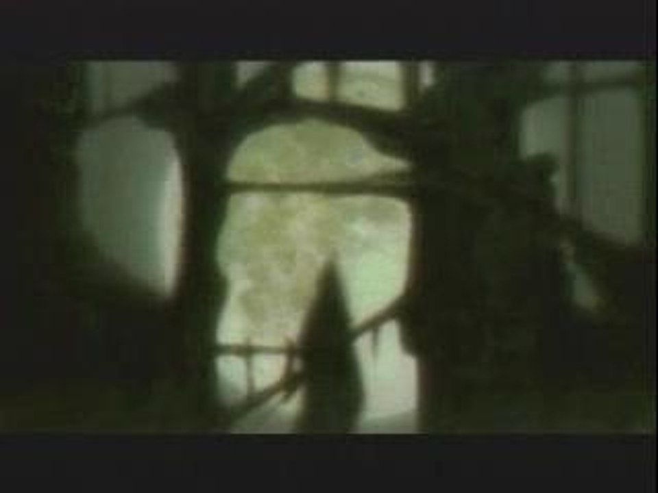 Moonlight_Shadow