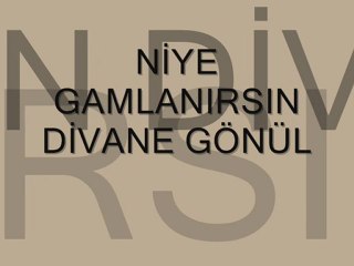 Ayfer Vardar-niye gamlanırsın da divane gönül