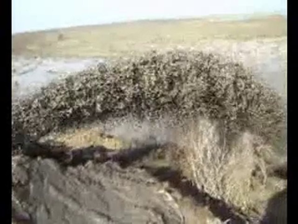 AZERBAYCAN ÇALIŞMALARIMIZ b9