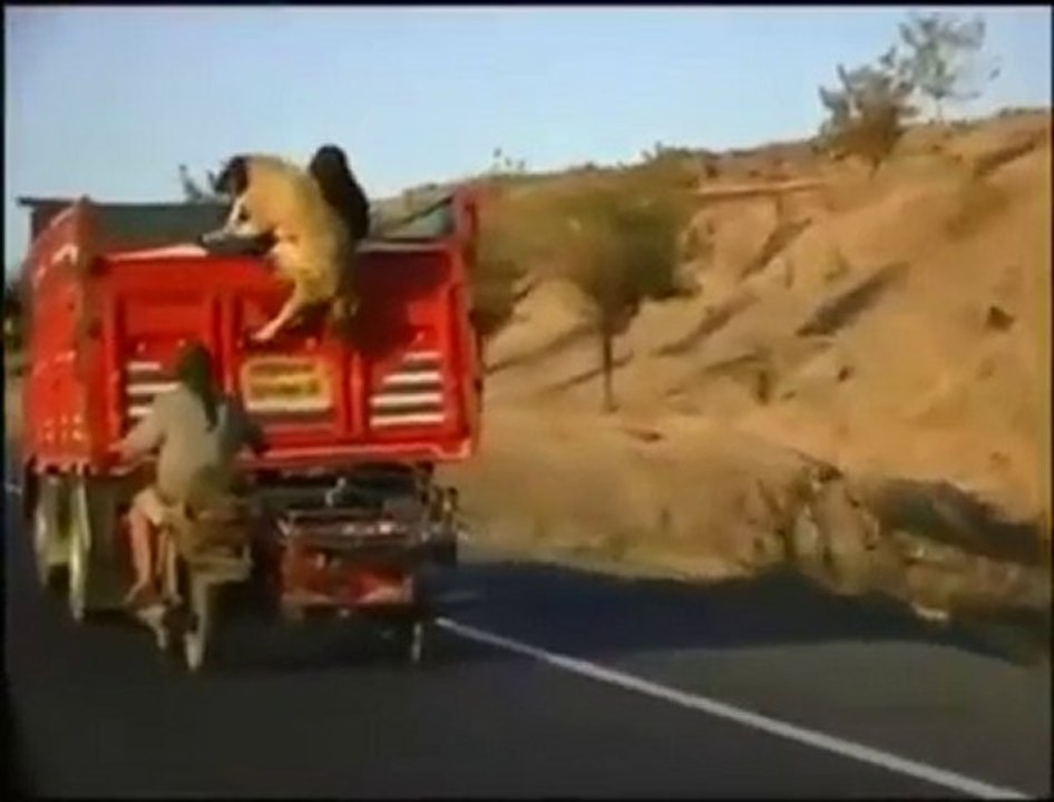 Bonne fête de l'Aid